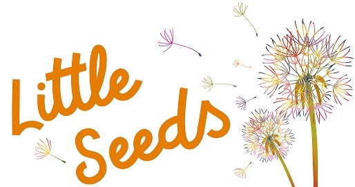 little seeds logo low res 2